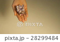 Girl showing a gift box in her hand, on a light 28299484