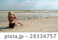 Woman Feeds seagulls On The Beach 28334757