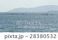 Lake Biwa wishing from Takashima-shi Kaijin Osaki 28380532