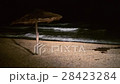 Tropical beach at night 28423284