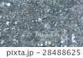 降雪圖像 28488625