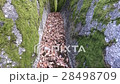 Guimares - Portugal from high 28498709
