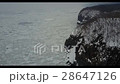 漂流冰北海道 28647126