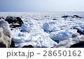 Nemu Ion冰 28650162