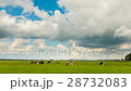 Time lapse of clouds and cows 28732083