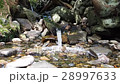 Water flowing from wooden pipe fountain waterplace 28997633