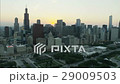 29009503