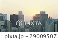 29009507