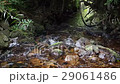 Stream flowing between rocks with authentic sound 29061486