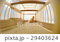 singing canary in a cage isolated on a white scree 29403624