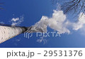 Smoke from an industrial pipe against a blue sky 29531376