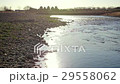朝　光る多摩川　３ 29558062