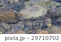 水の流れ 29710702