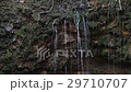 岩から湧き出る湧水 29710707