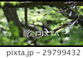 twitter 29799432