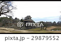 熊本城 29879552