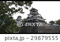 熊本城 29879555