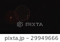 花火　PL 29949666