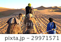 砂漠 ラクダ らくだ 29971571