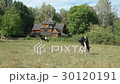 Ukraine - Horses grazing in a meadow 30120191