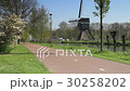 Bicyclist with windmill in The Netherlands 30258202