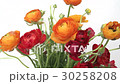 Colorful Ranunculus flower bouquet 30258208