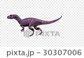 ステゴサウルス　後脚立ち 30307006