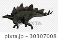 ステゴサウルス　後脚立ち 30307008