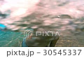 Kid dives into a pool 30545337