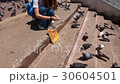 thai adult women philanthropy give food bird 30604501