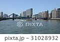 Sumida river and boat 31028932