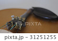 old violin 31251255