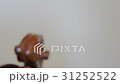 old violin 31252522