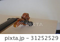 old violin 31252529