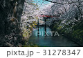 弘前城桜まつり_2017 31278347