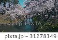 弘前城桜まつり_2017 31278349