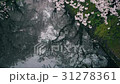 弘前城桜まつり_2017 31278361