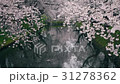 弘前城桜まつり_2017 31278362