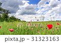 Colorful summer field with flowers swaying in wind 31323163