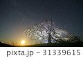 櫻桃樹 31339615