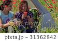 Women sit in tent in blooming field and laugh 31362842