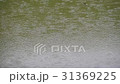 雨 31369225