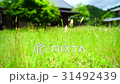 田舎 自然の風景 31492439