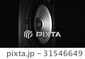 Vibrating Working Speaker 31546649