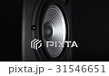 A Silver Vibrating Working Subwoofer 31546651