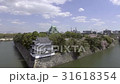 名古屋城　空撮 31618354