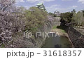 名古屋城　空撮 31618357