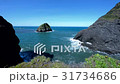 Pacific ocean waves hitting sea stacks during day 31734686