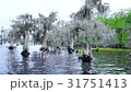 Blue Cypress Lake, Florida, Usa, America 31751413