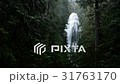 Proxy waterfall viewed through forest on a rainy 31763170